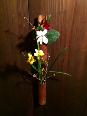 フリージア、シクラメン、蝋梅、京王桜