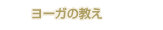 ���[�K�̋���